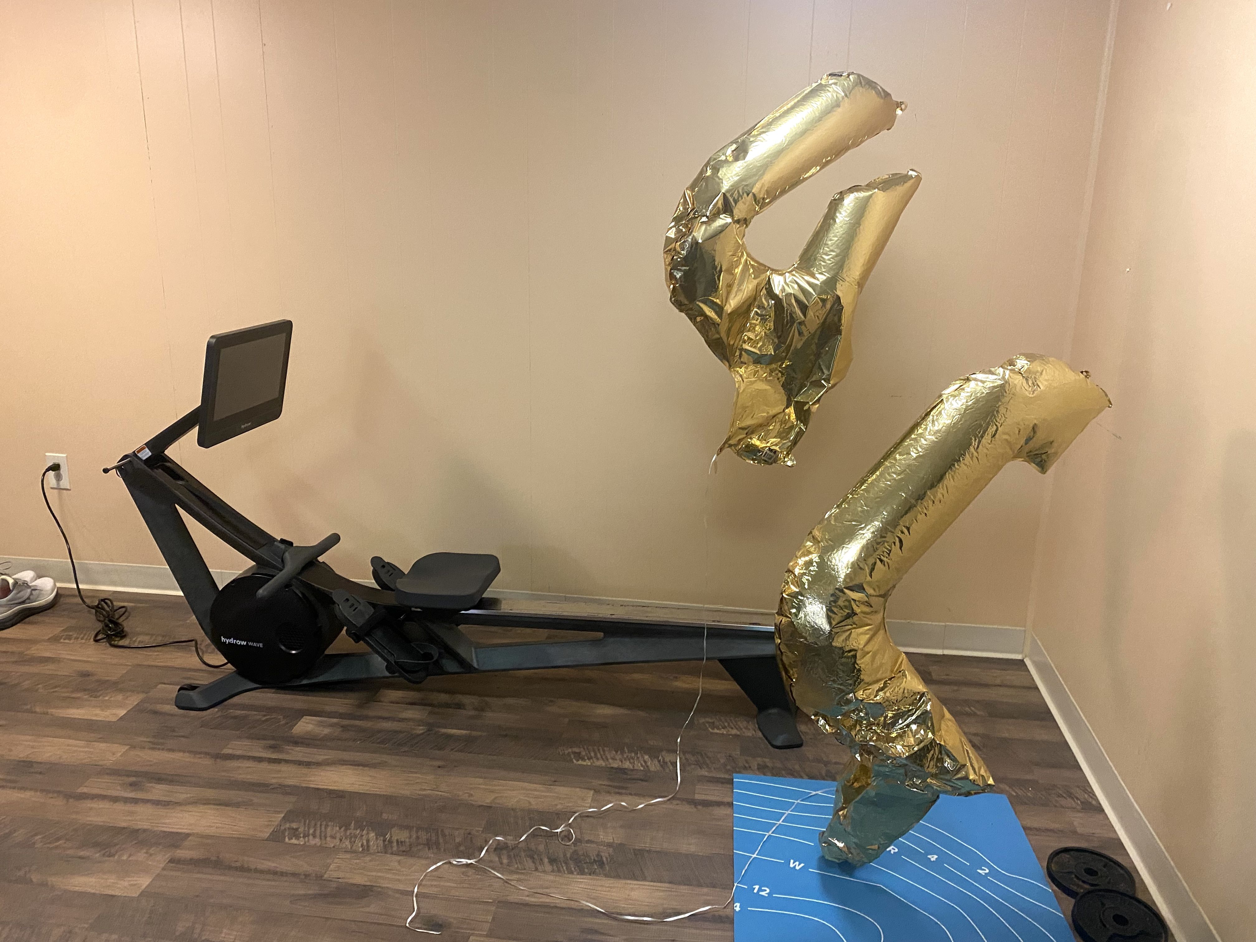 hydro wave review home rowing machine test men’s health